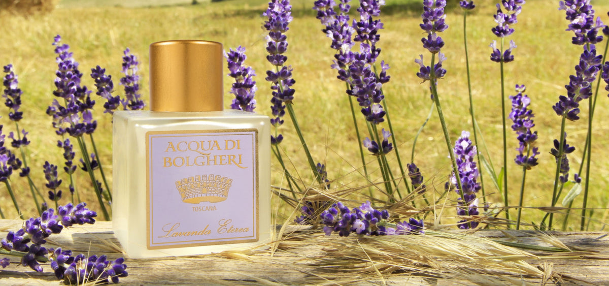 Acqua di Bolgheri Lavanda Eterea Eau de Cologne 50 ml