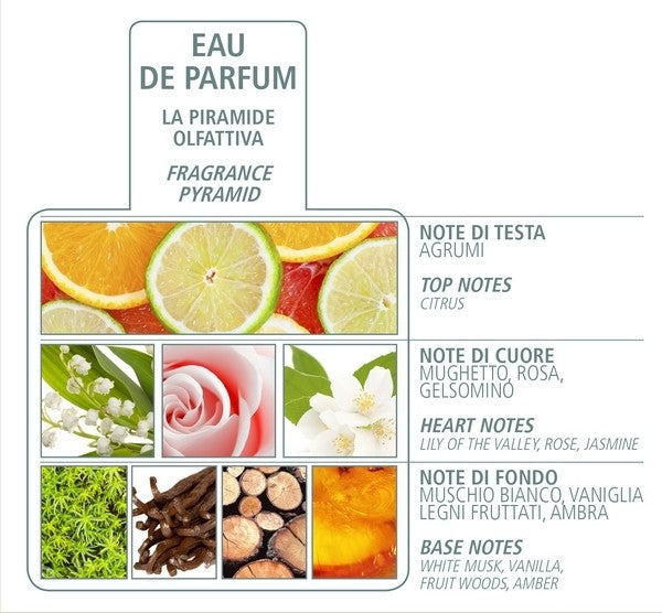ACQUA DI BOLGHERI White Musk Eau de Parfum 50 ml
